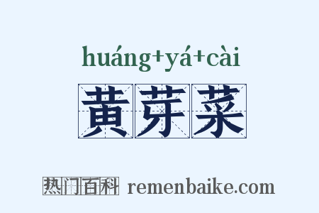 黄芽菜是什么意思的图片